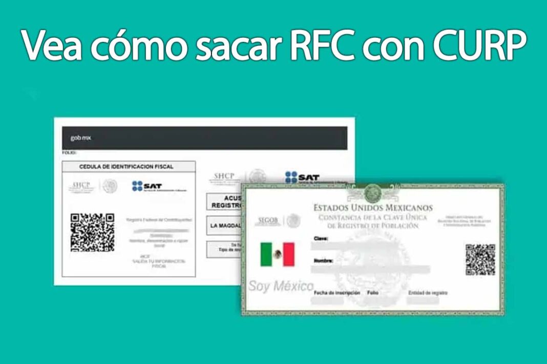 Sacar RFC con CURP