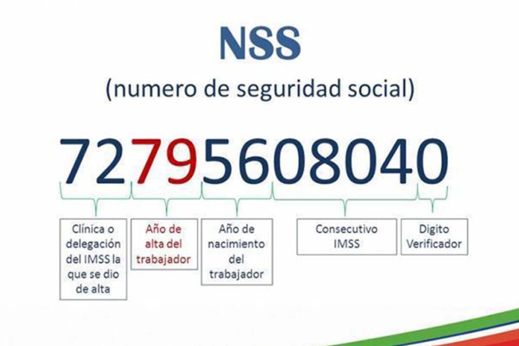 Como Saber Si Tengo NSS